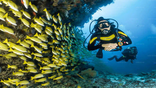 Snorkling i Talawila St. Anne's Reef