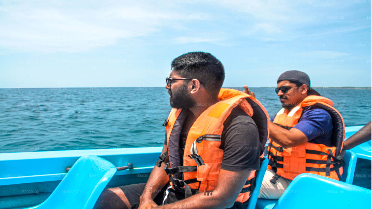 Dybhavsfiskeribådtur fra Bentota