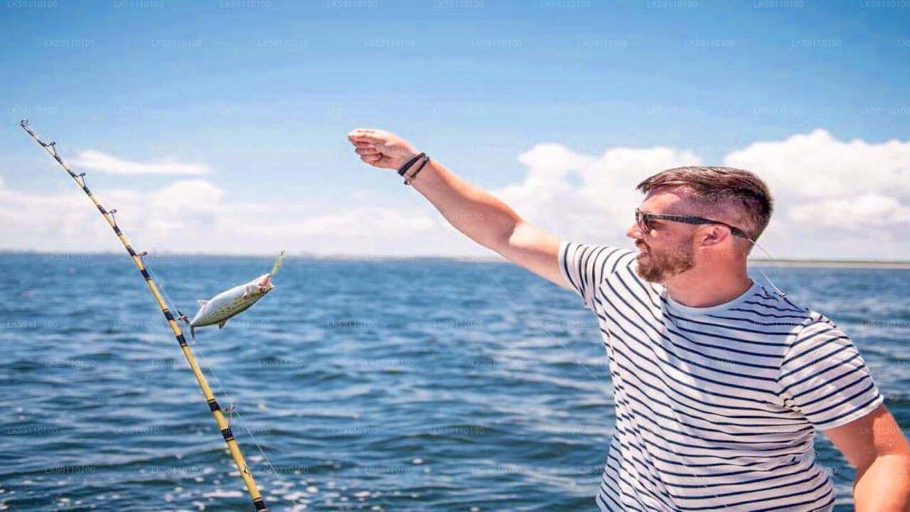 Dybhavsfiskeribådtur fra Hikkaduwa
