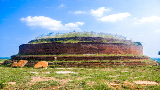 Temple Run-tur fra Arugambay