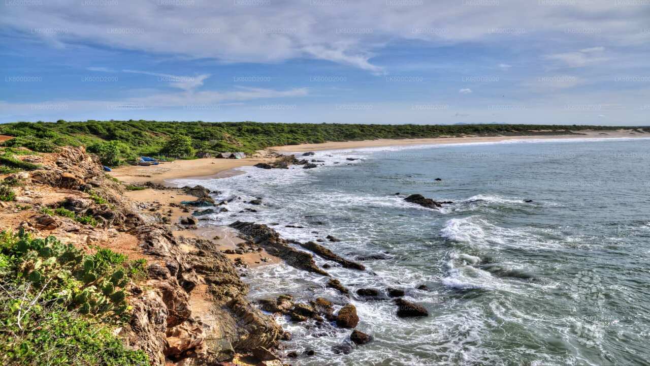 Bundala National Park Safari fra Bentota