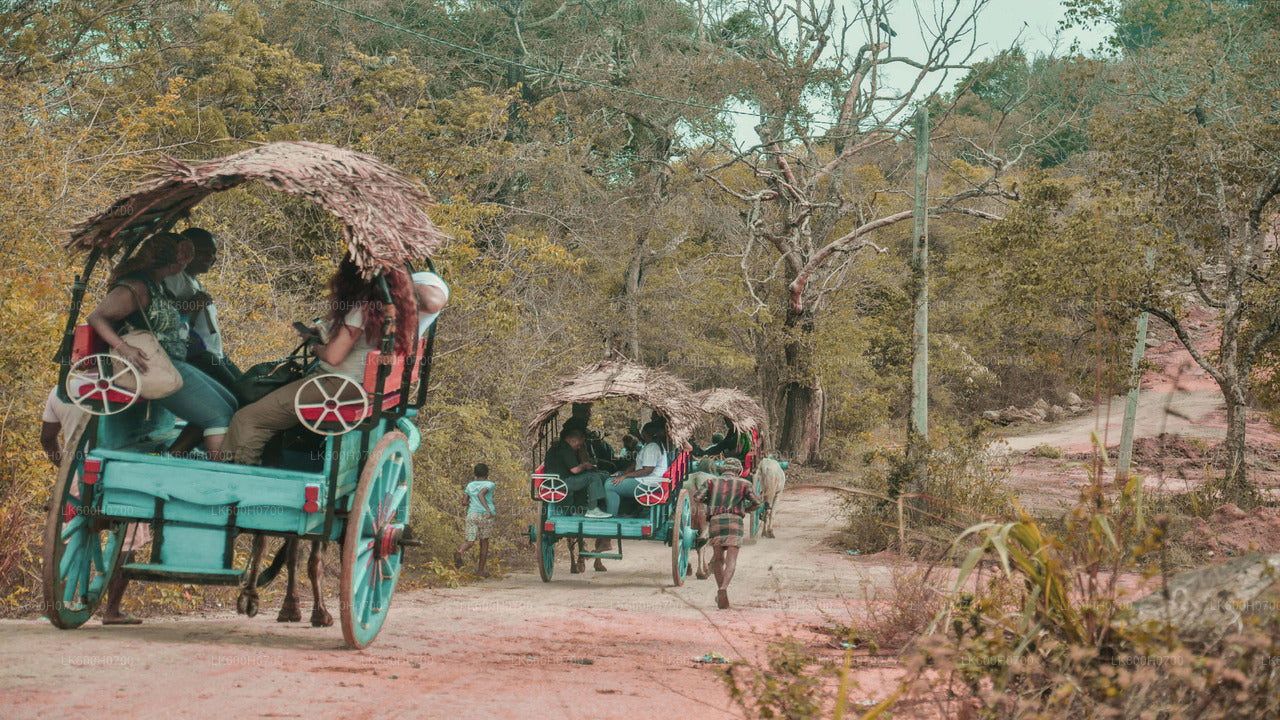 Sigiriya Rock og Village Tour fra Colombo