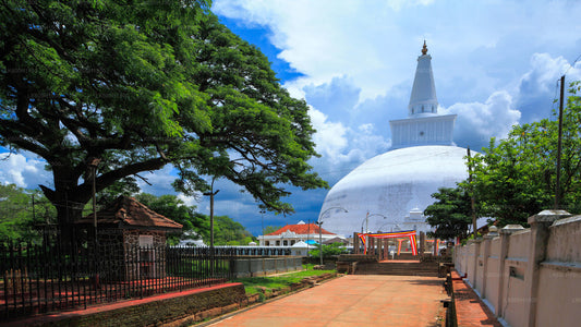 Hellig by Anuradhapura fra Colombo