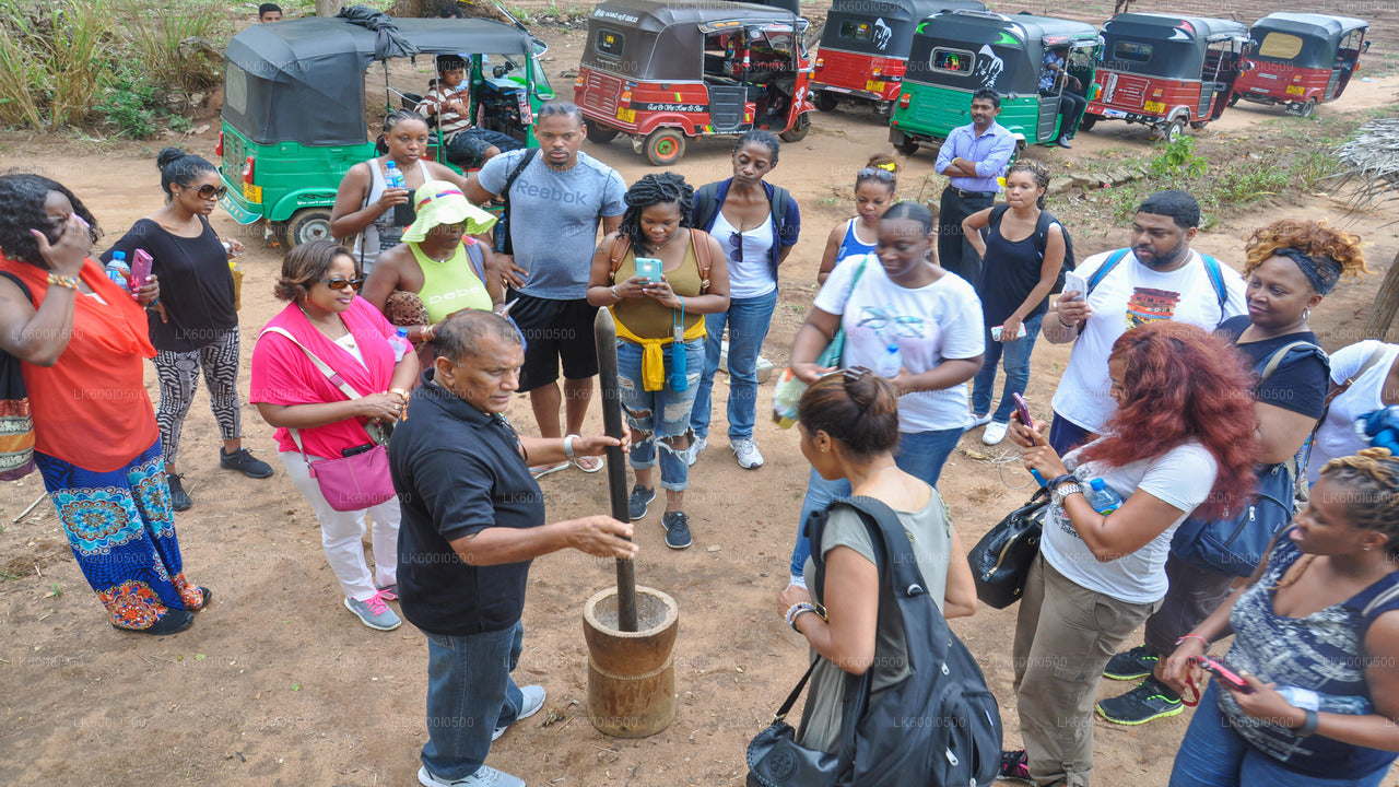 Hiriwadunna Village Tour and Lunch from Dambulla