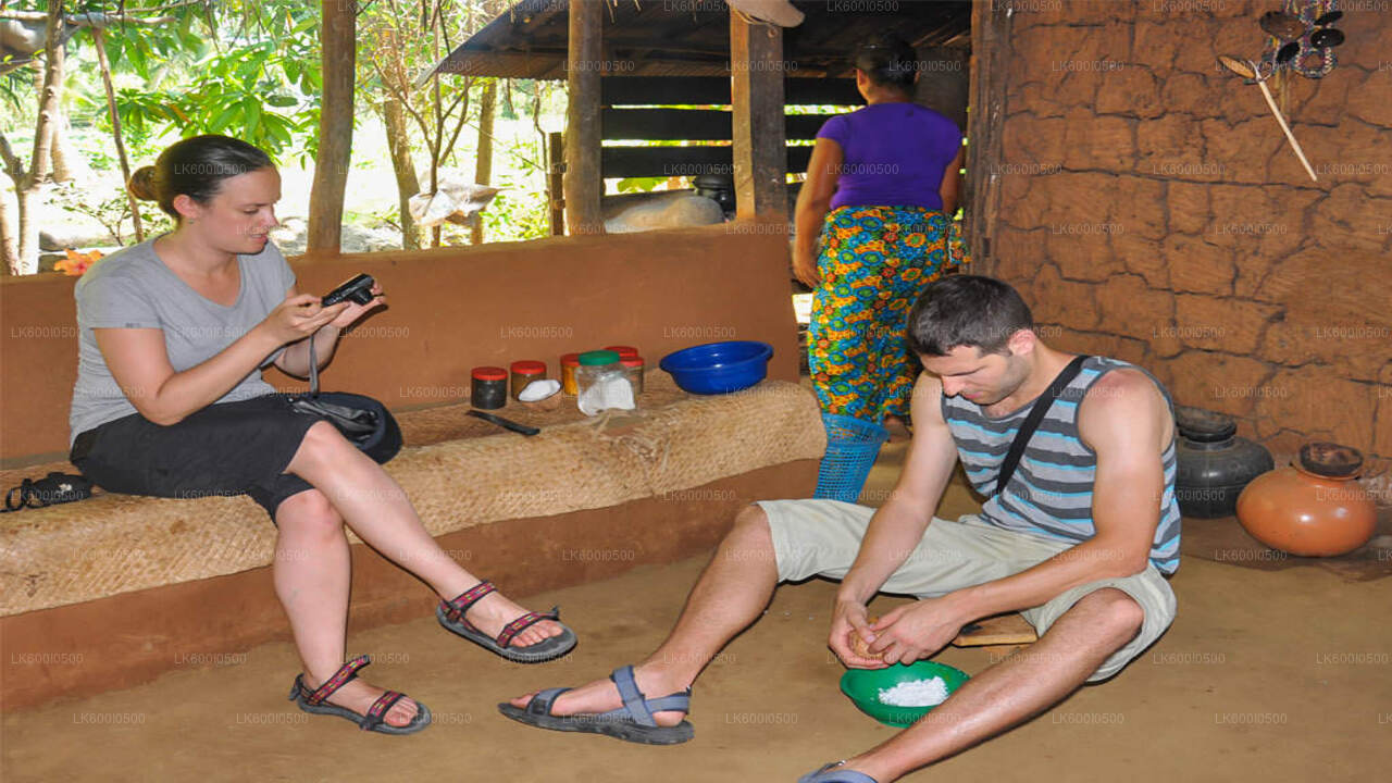 Hiriwadunna Village Tour and Lunch from Dambulla