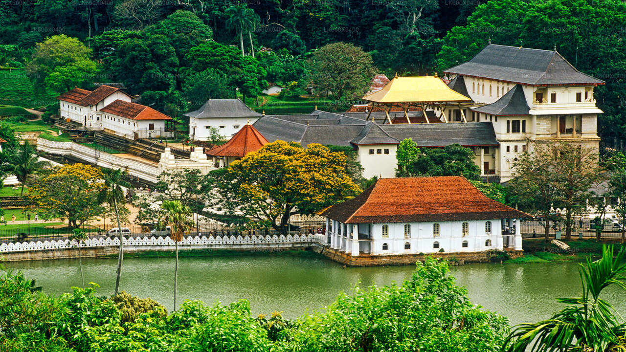 Kandy City Tour fra Hikkaduwa