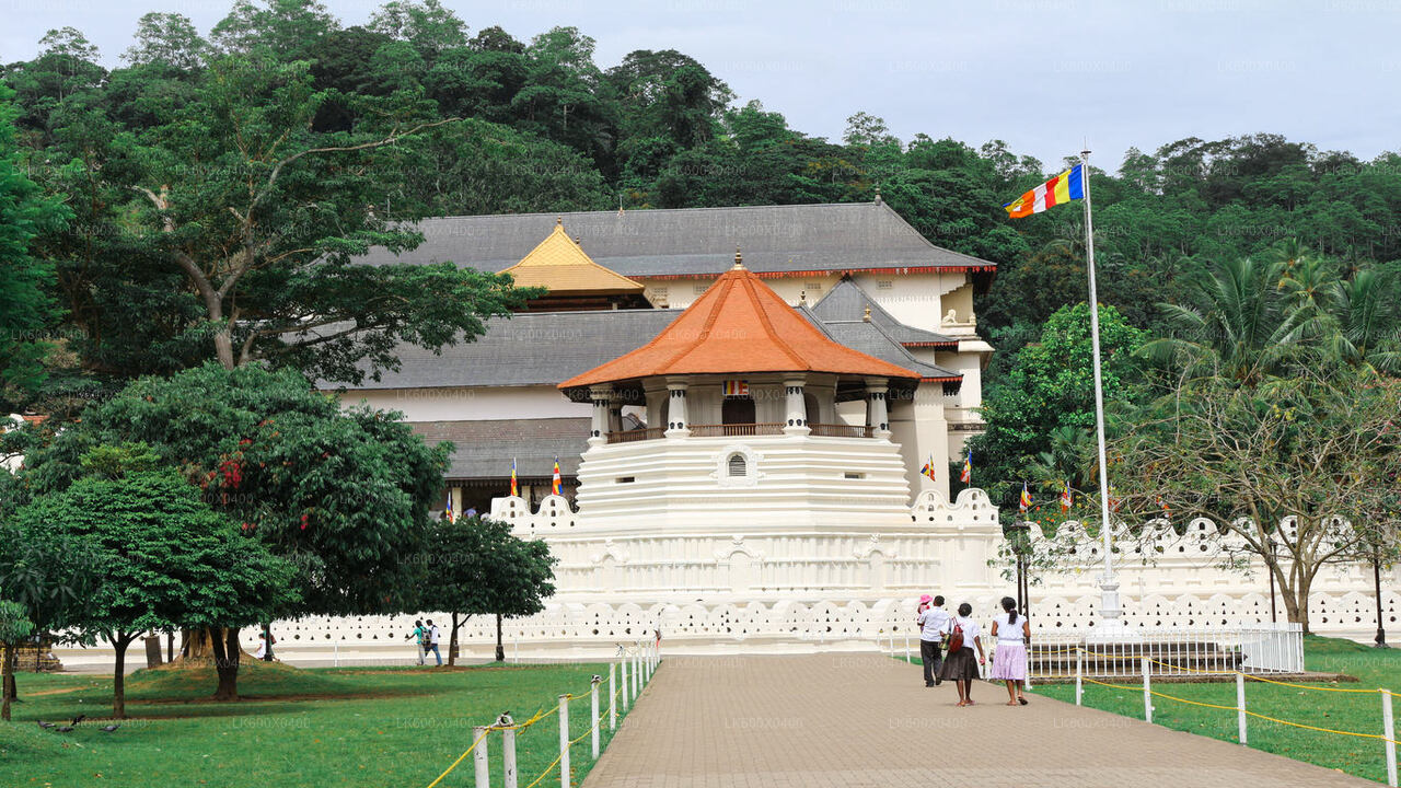 Kandy City Tour fra Hikkaduwa