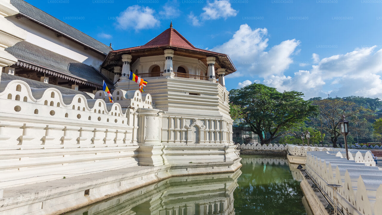 Kandy City Tour fra Hikkaduwa