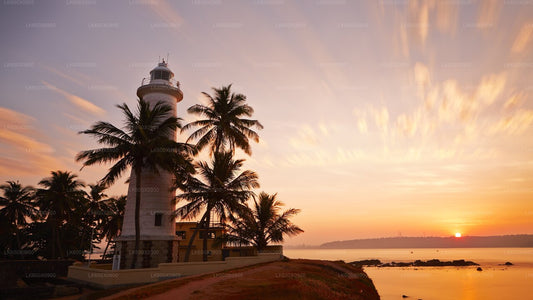 Sunset view of a lighthouse with a tropical landscape in the background