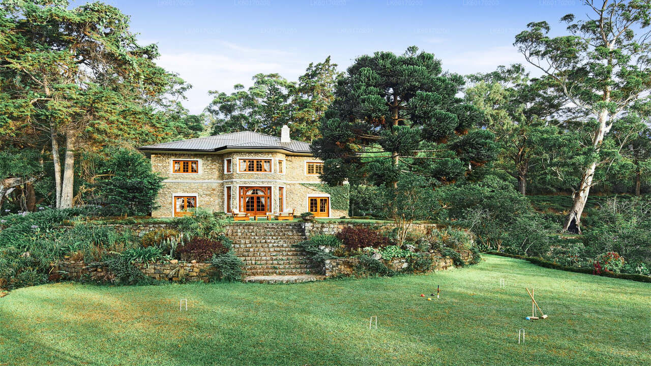 Nuwara Eliya Highlands fra Kandy