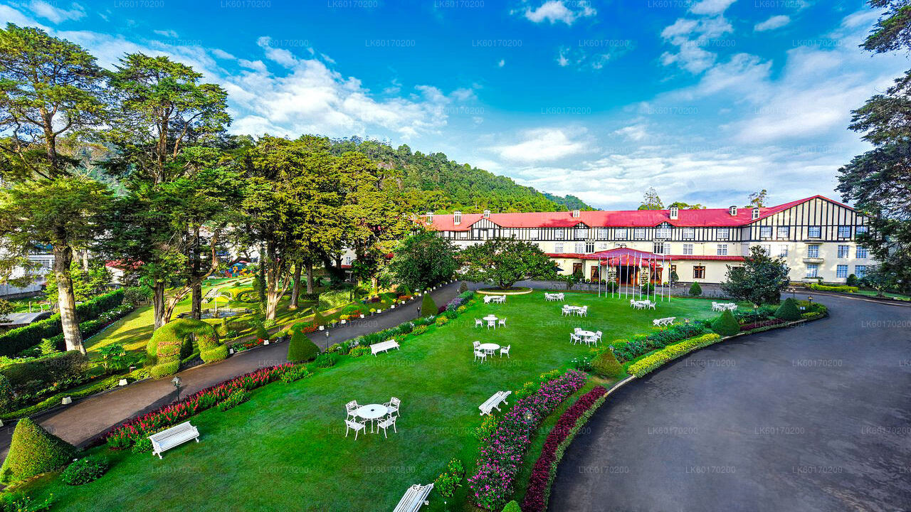 Nuwara Eliya Highlands fra Kandy