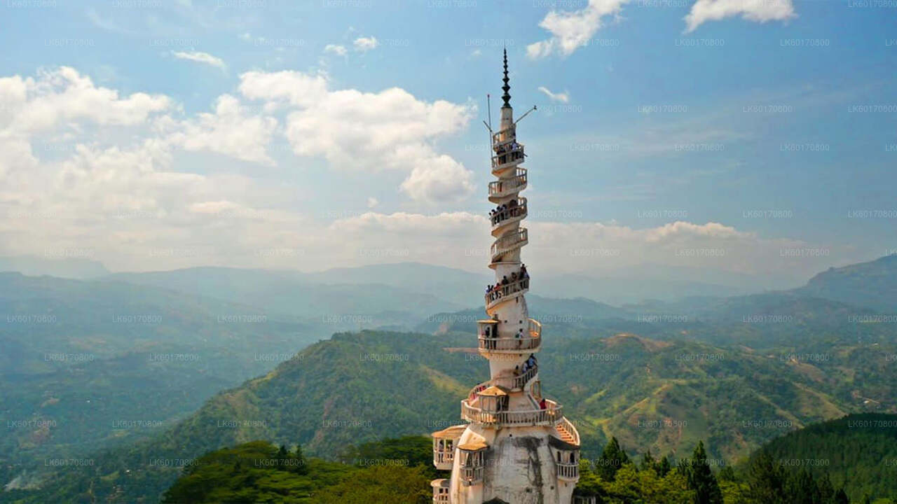 Udforsk Ambuluwawa Biodiversity Complex fra Kandy