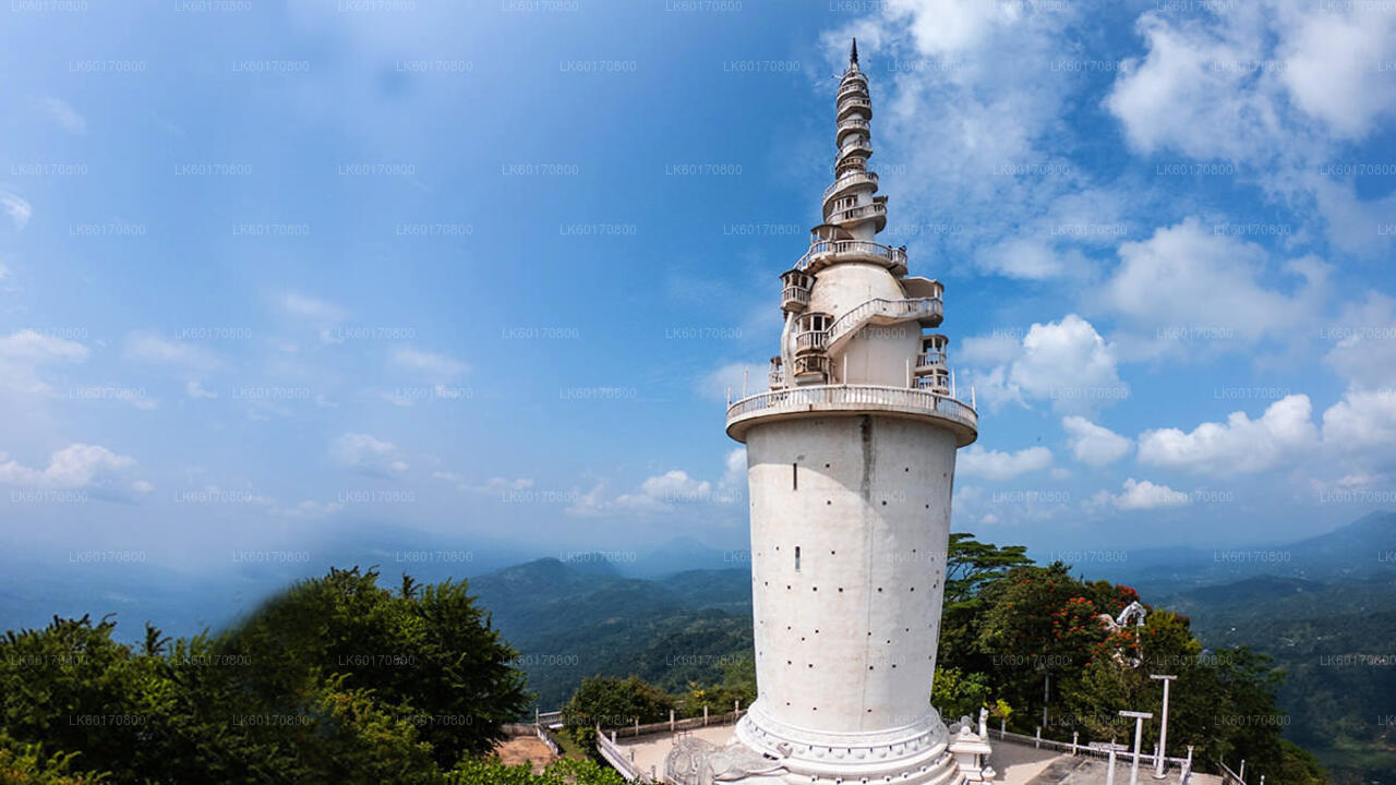 Udforsk Ambuluwawa Biodiversity Complex fra Kandy