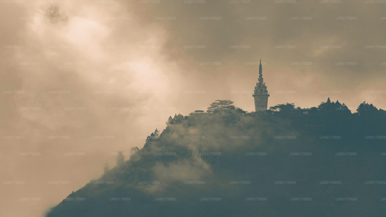 Udforsk Ambuluwawa Biodiversity Complex fra Kandy