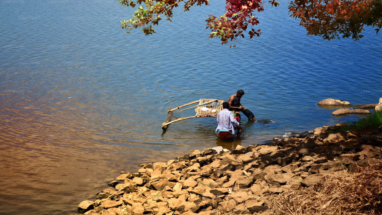 Tur til aboriginsk landsby fra Kandy