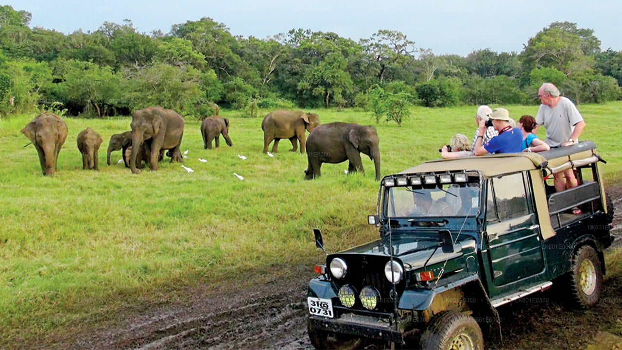 Bundala Nationalpark Safari fra Koggala