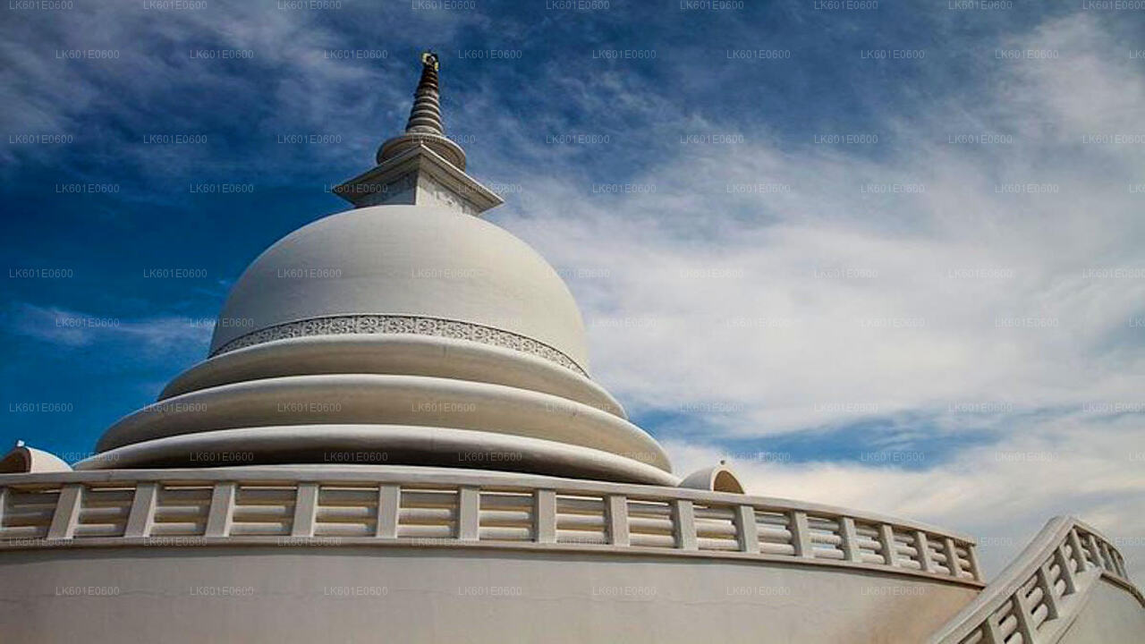 Hidden Temples and Secluded Coastline from Koggala