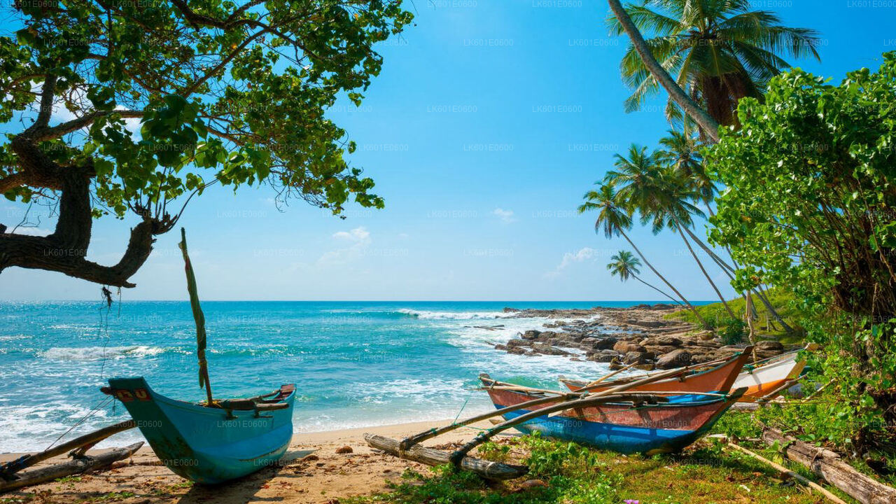 Hidden Temples and Secluded Coastline from Koggala