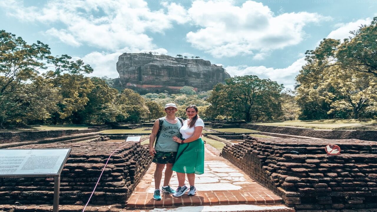 Sigiriya Rock and Wild Elephant Safari fra Negombo
