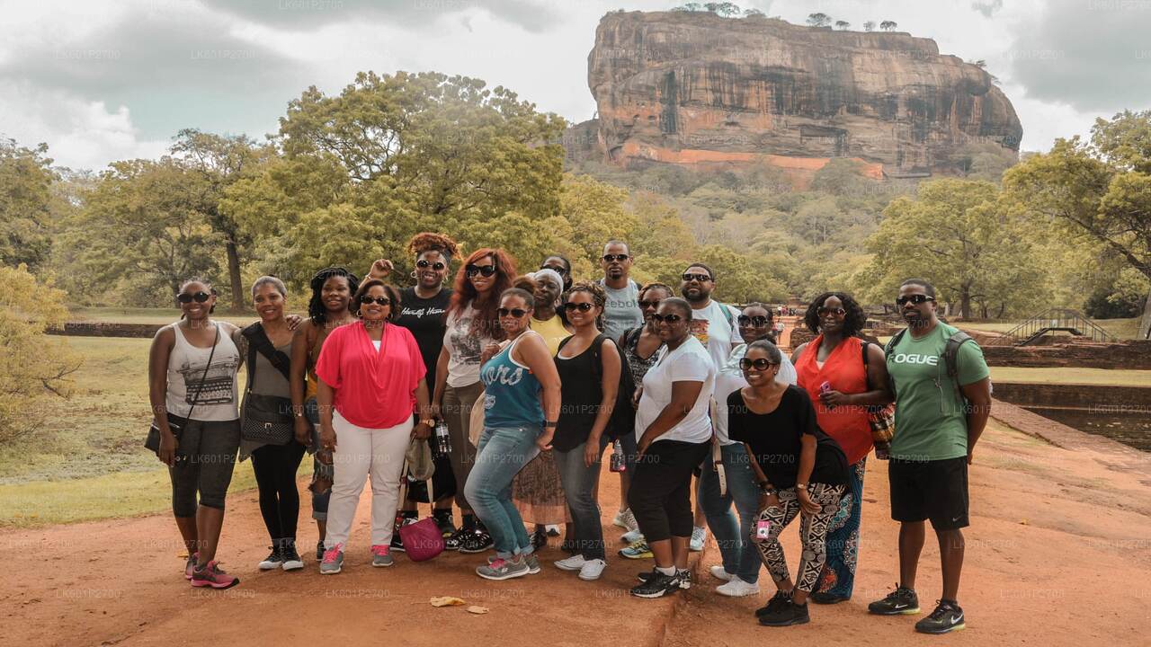 Sigiriya Rock and Wild Elephant Safari fra Negombo