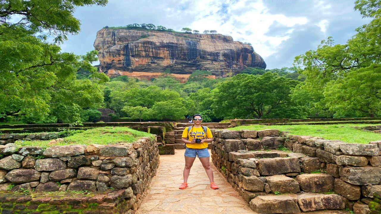 Sigiriya Rock and Wild Elephant Safari fra Negombo