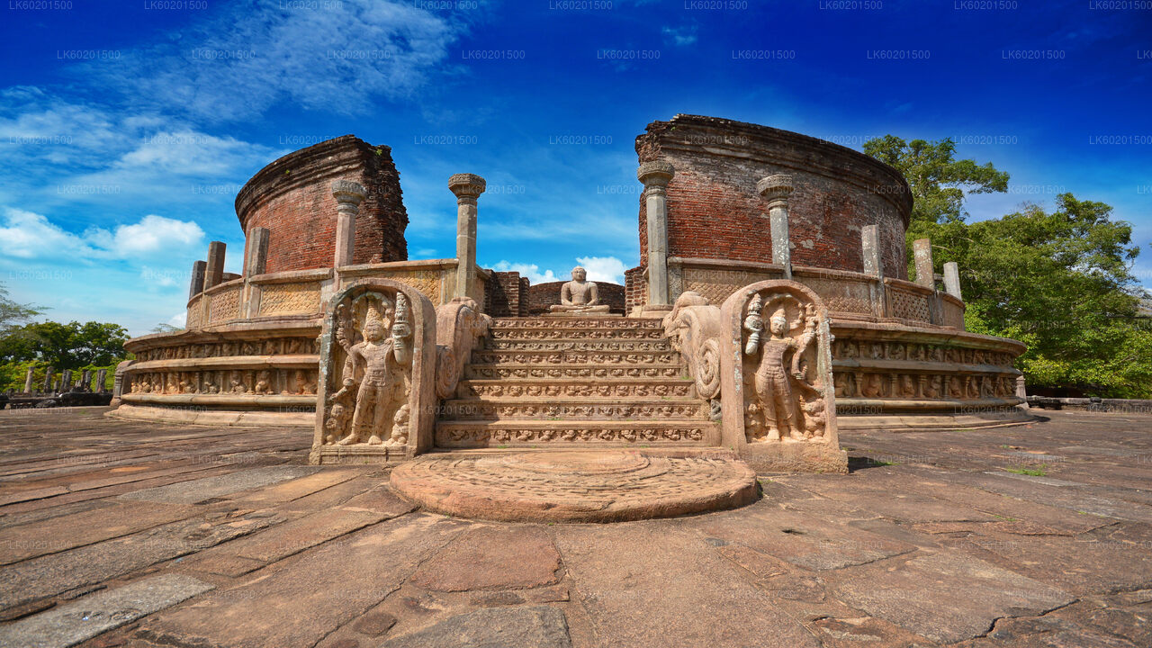 Polonnaruwa Ancient Kingdom og safari med vilde elefanter fra Sigiriya