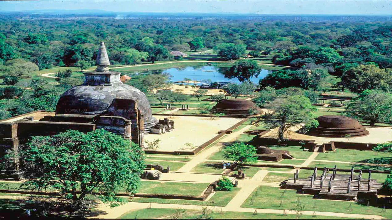 Sigiriya to Pasikudah Private Transfer with Polonnaruwa Ancient City Tour