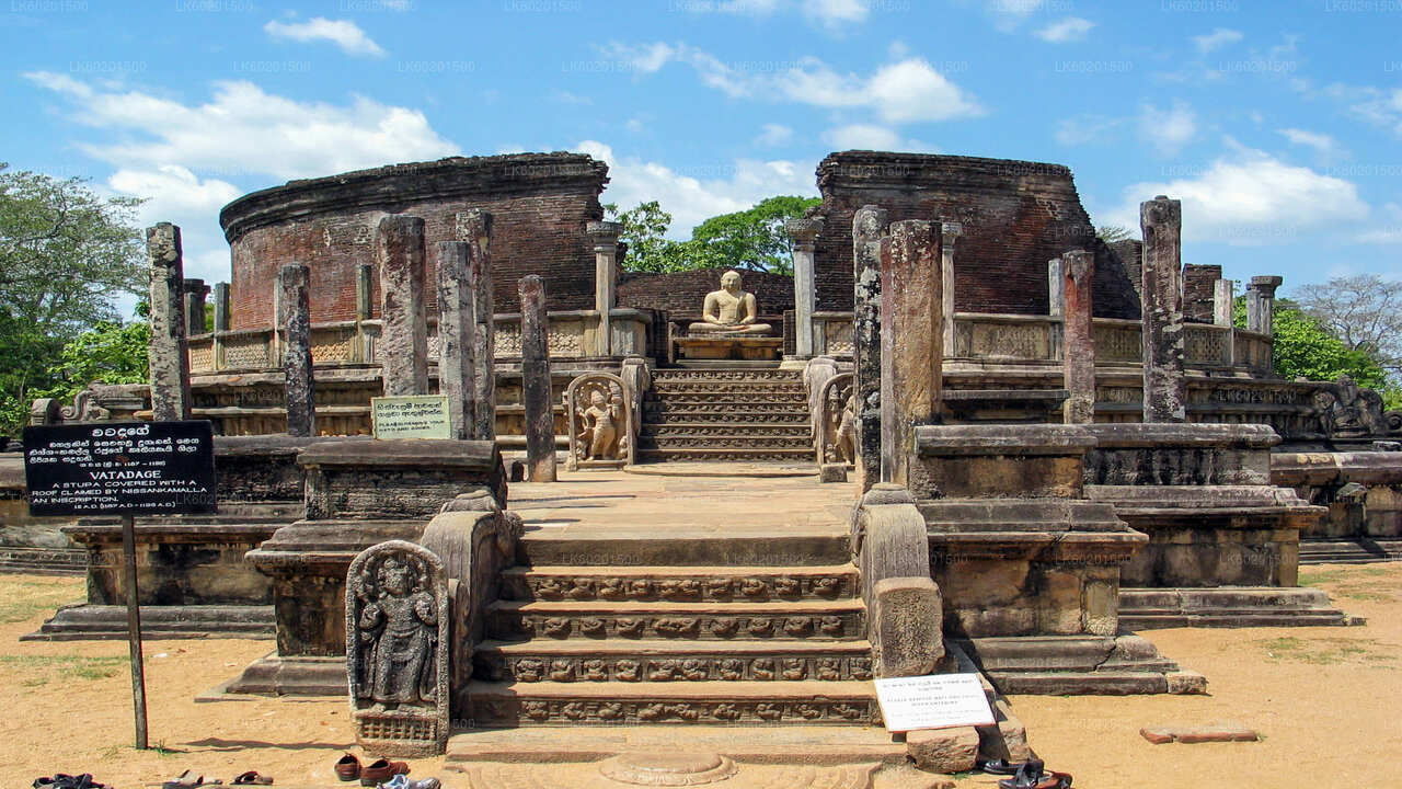 Polonnaruwa Ancient Kingdom og safari med vilde elefanter fra Sigiriya