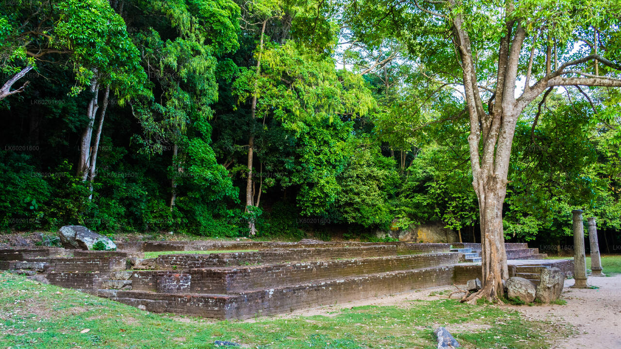 Yapahuwa Ancient Kingdom fra Sigiriya