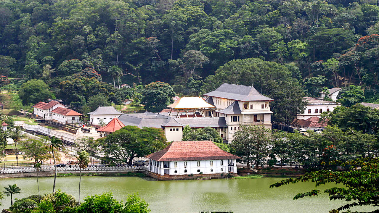 Kandy City Tour fra Sigiriya