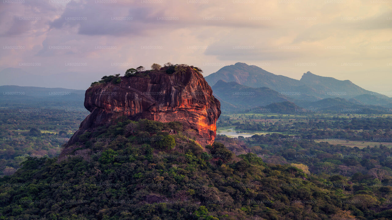 Sigiriya Rock and Countryside fra Sigiriya
