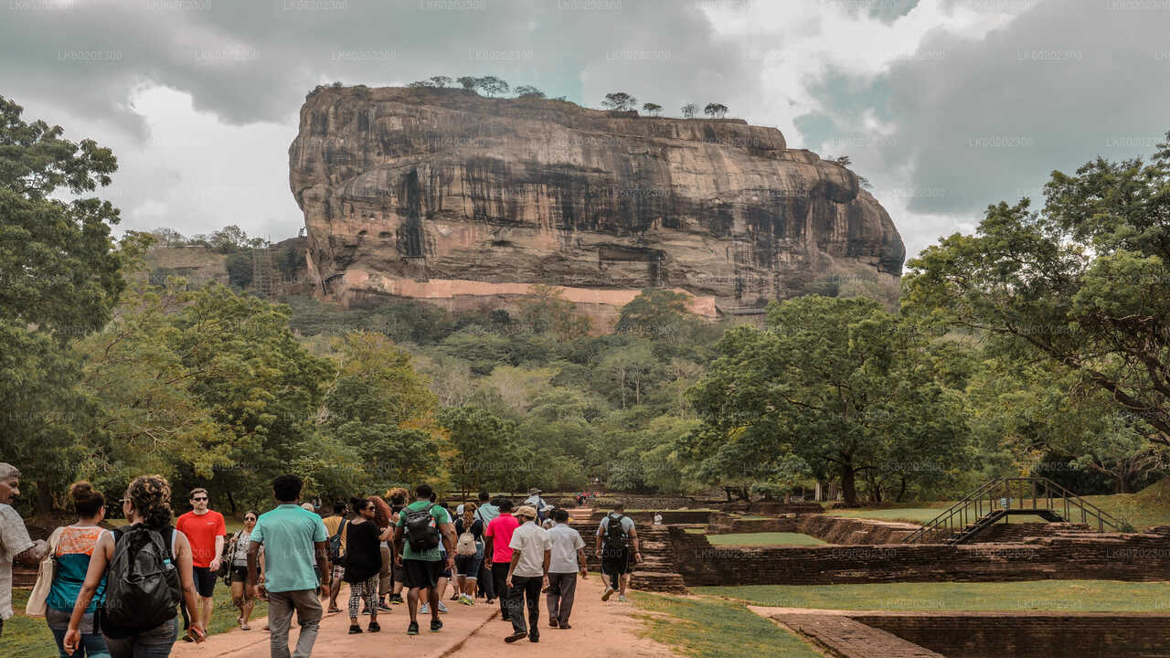Sigiriya Rock and Countryside fra Sigiriya