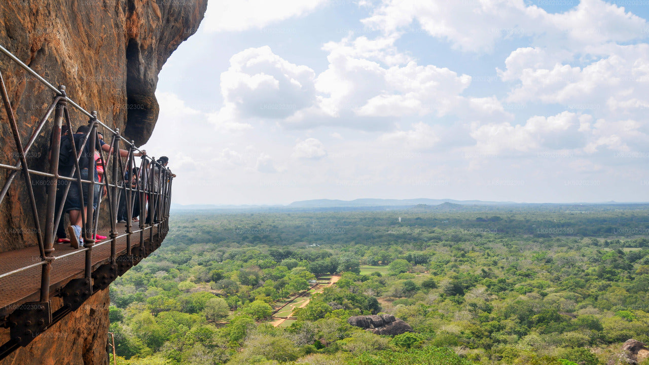 Sigiriya Rock and Countryside fra Sigiriya