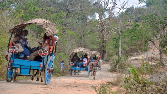 Sigiriya Rock and Countryside fra Sigiriya