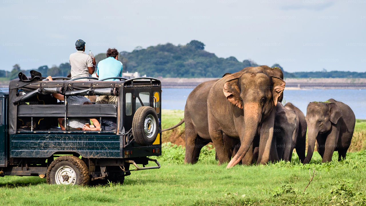 Yala Nationalpark Safari fra Dikwella