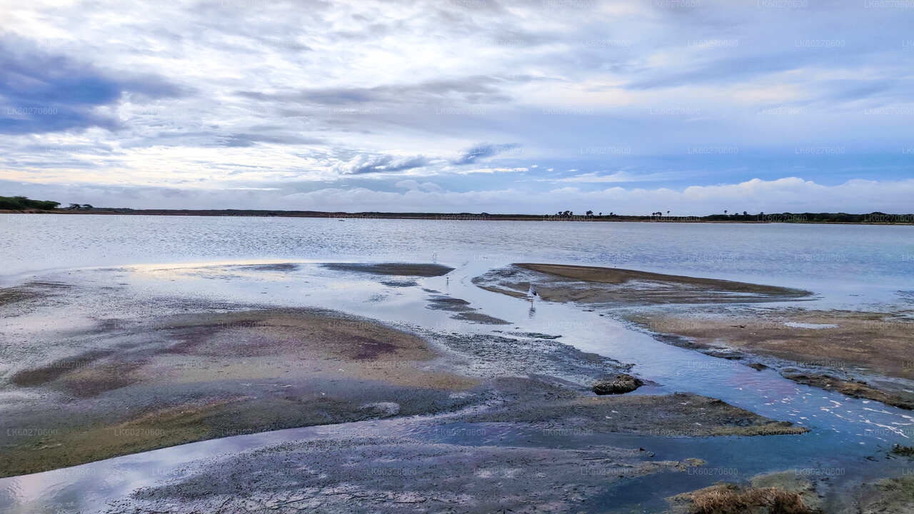 Bundala Nationalpark Safari fra Dikwella