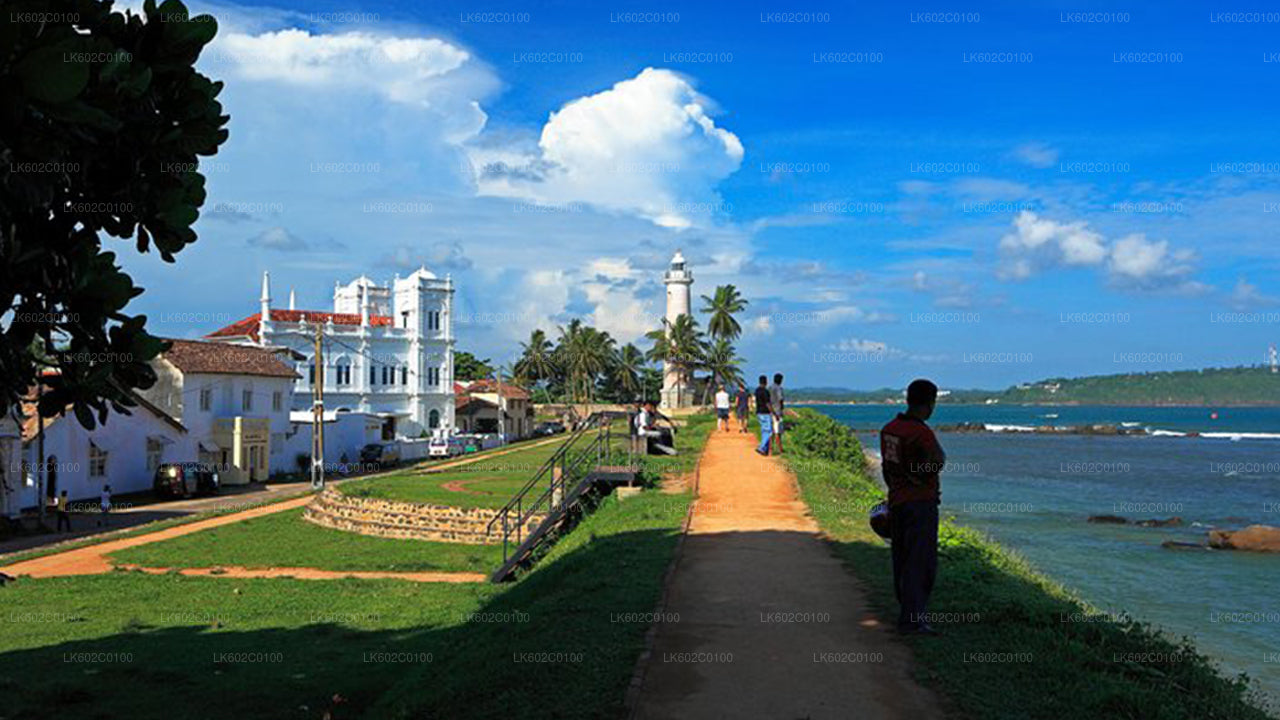 Højdepunkter på den sydlige kyst fra Weligama City