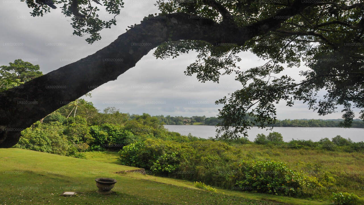 Bentota bytur fra Mirissa