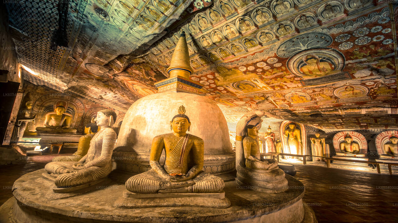 Sigiriya Rock og Dambulla fra Panadura