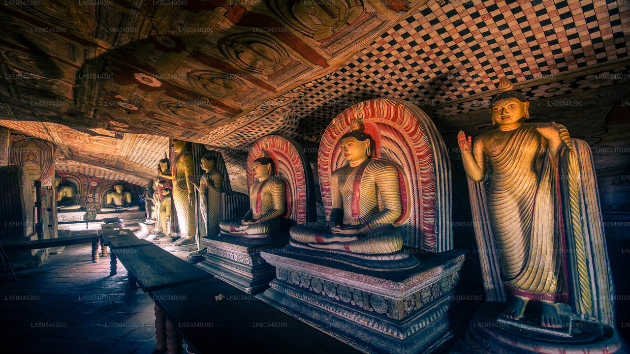 Sigiriya Rock og Dambulla fra Panadura