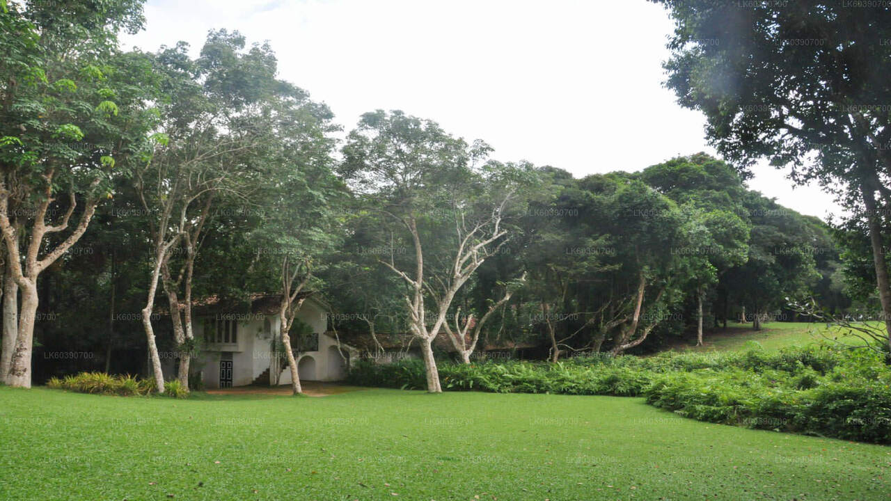 Bentota bytur og Galle fra Balapitiya