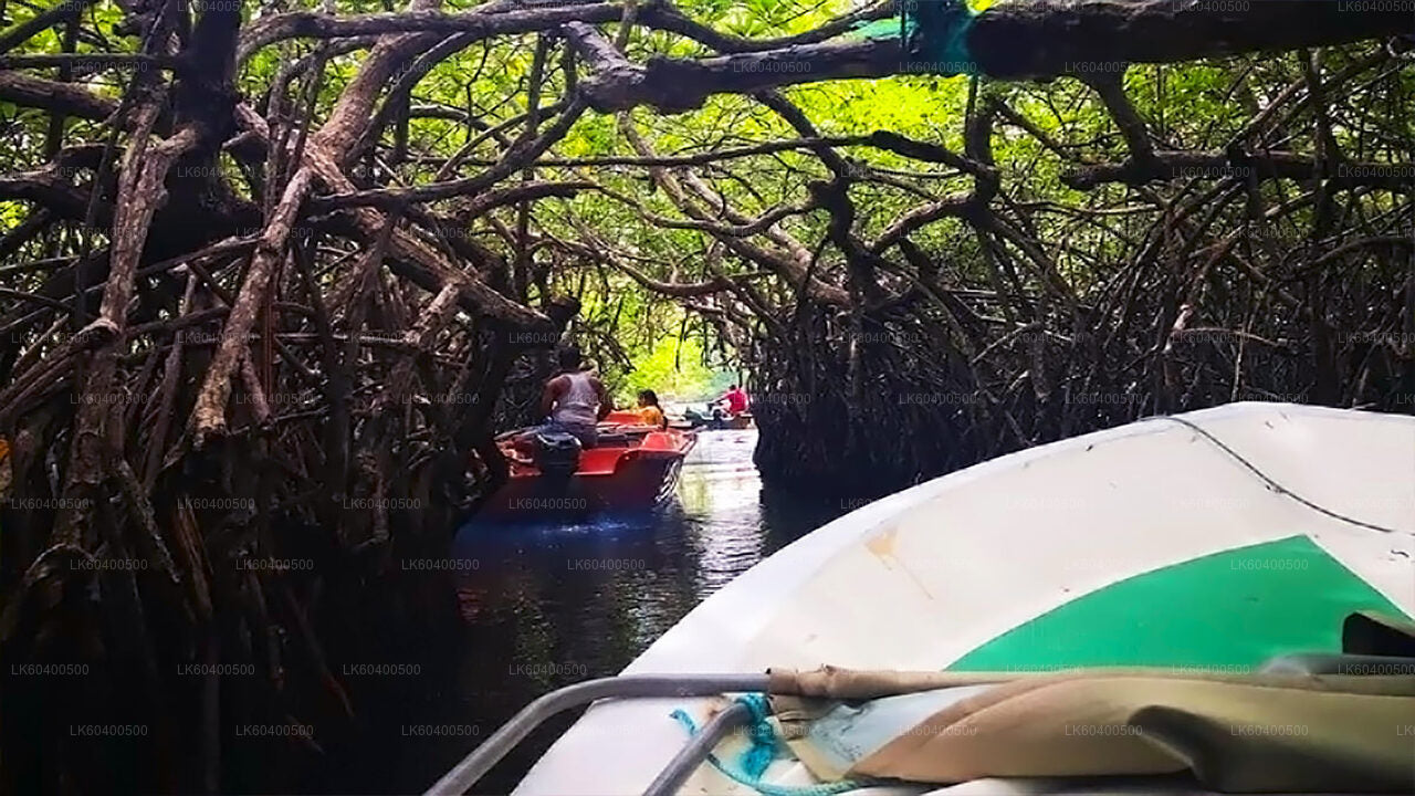 Hoogtepunten van de zuidkust en riviersafari vanuit Ahungalla