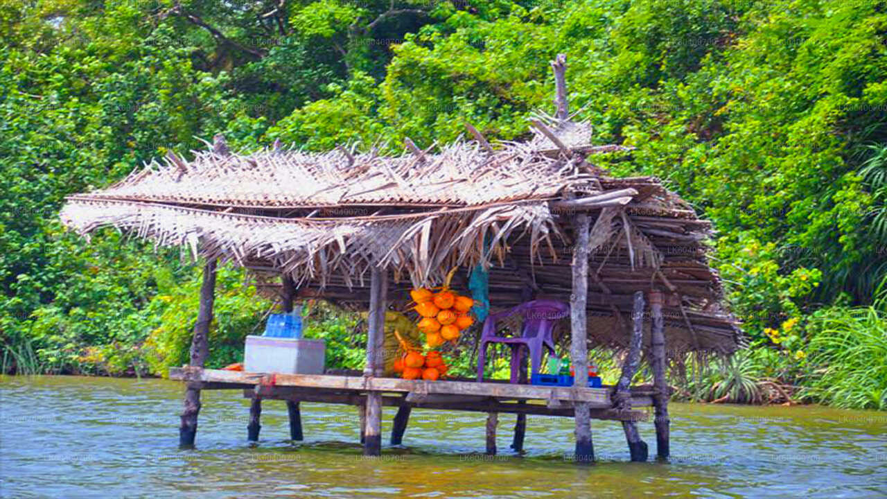Bentota bytur og Galle fra Ahungalla