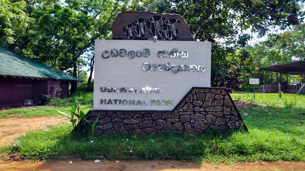 Udawalawe National Park Safari fra Unawatuna