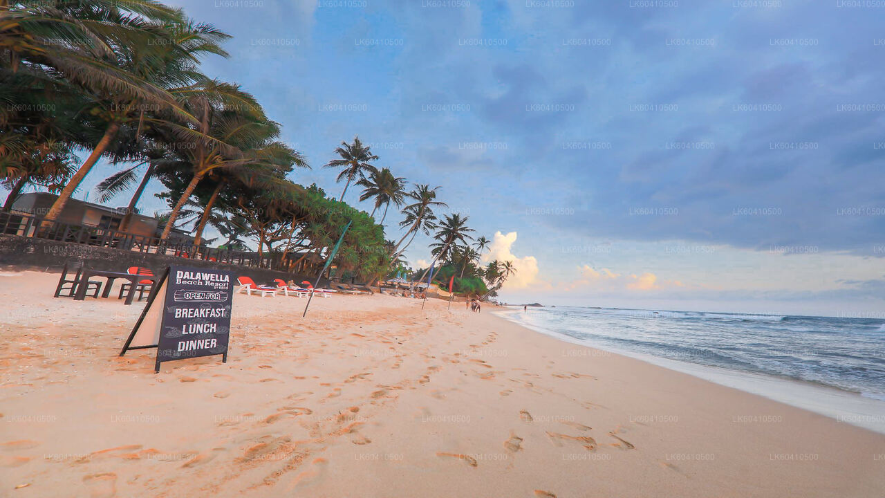 Højdepunkter på den sydlige kyst fra Unawatuna