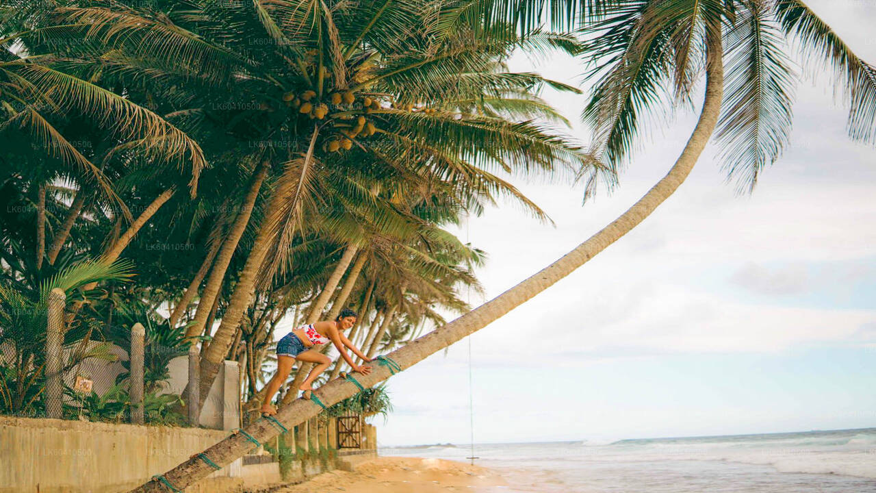 Højdepunkter på den sydlige kyst fra Unawatuna