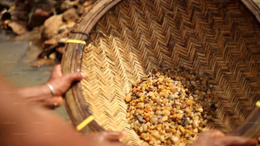 Udforsk Gem Mines i Ratnapura fra Mount Lavinia