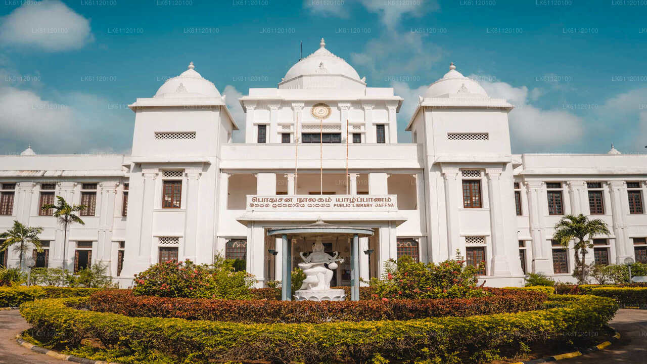 Jaffna bytur