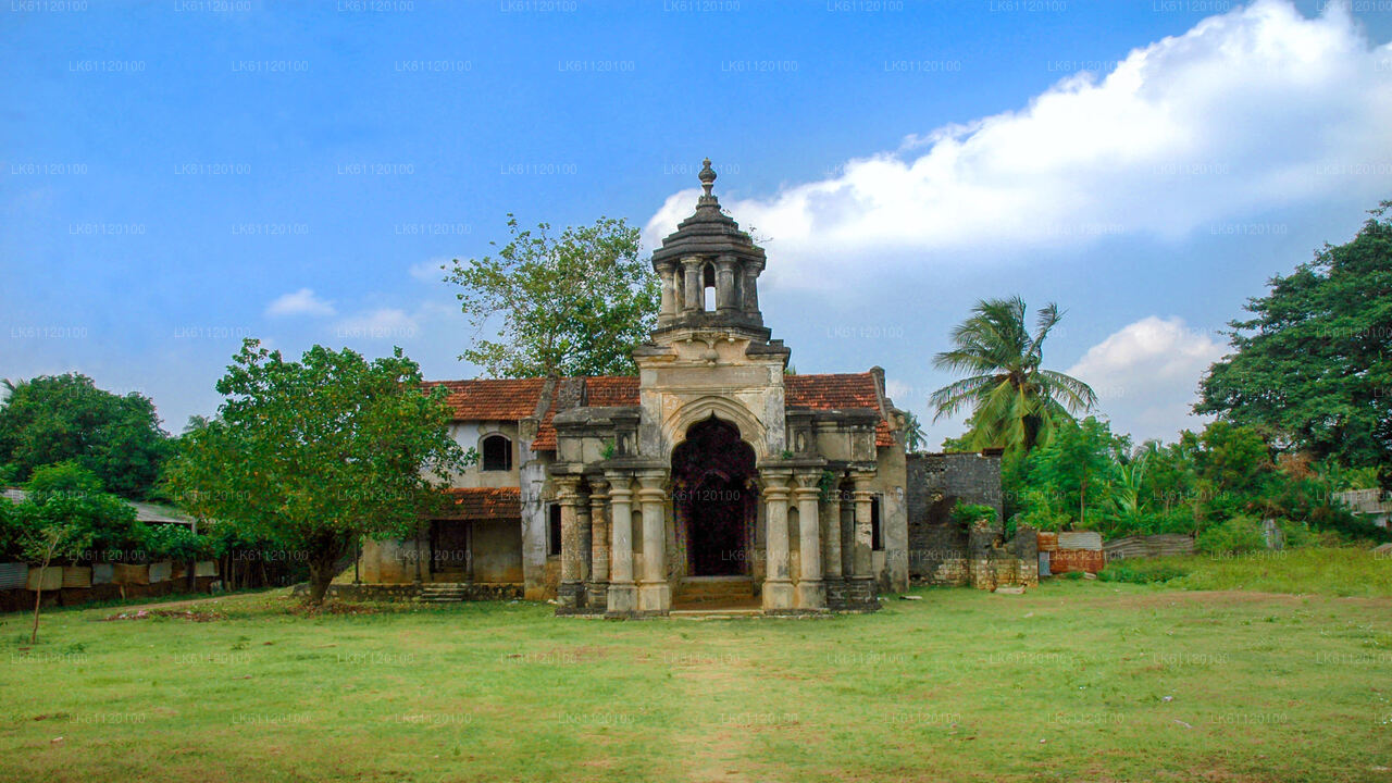 Jaffna bytur