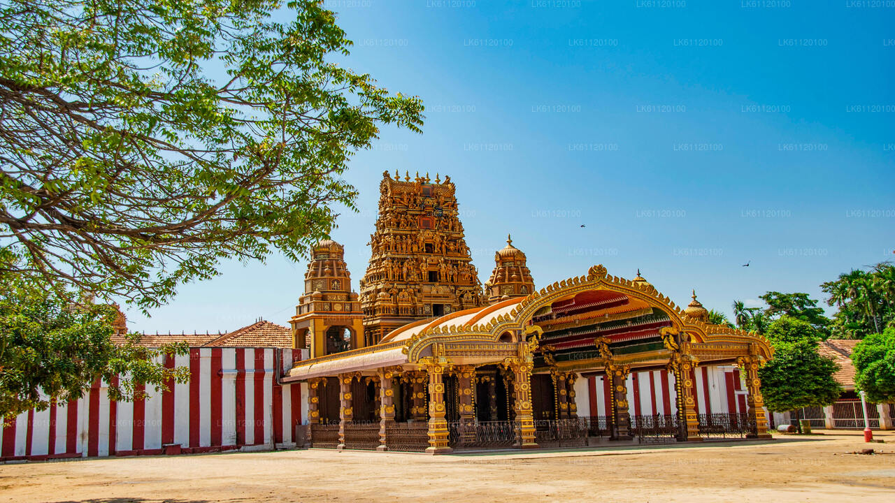 Jaffna bytur